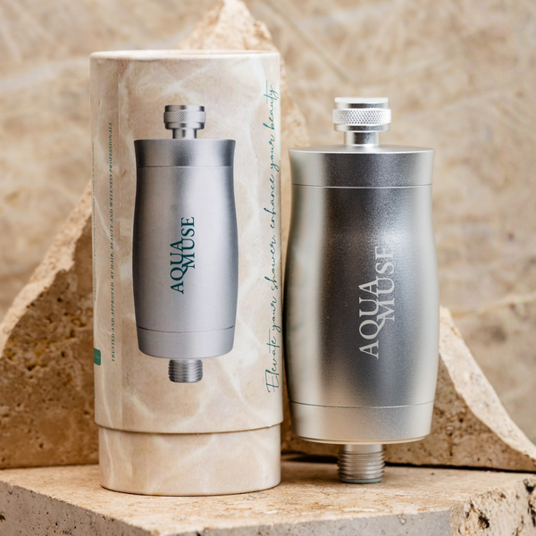 Chrome Shower Filter