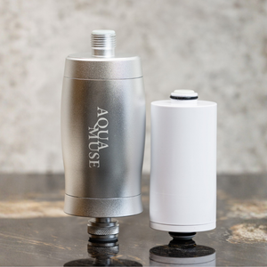 Chrome Shower Filter