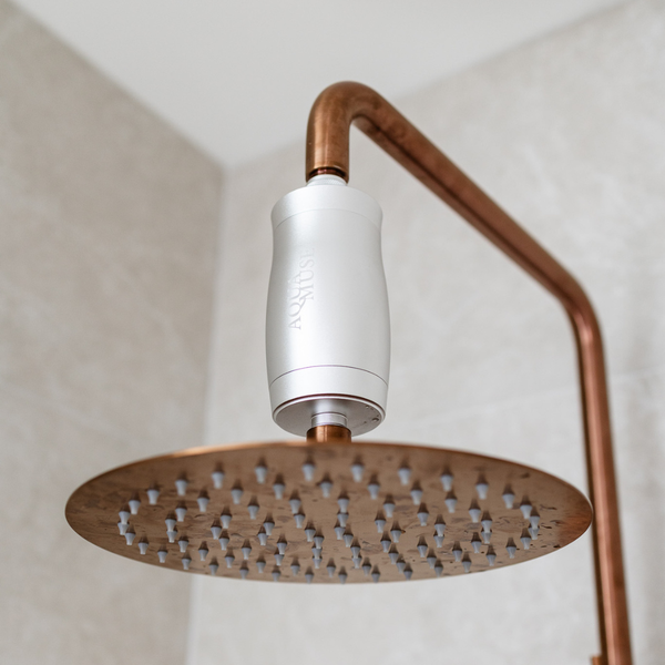 Chrome Shower Filter